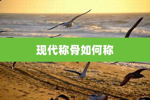 现代称骨如何称