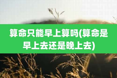 算命只能早上算吗(算命是早上去还是晚上去)