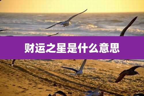 财运之星是什么意思