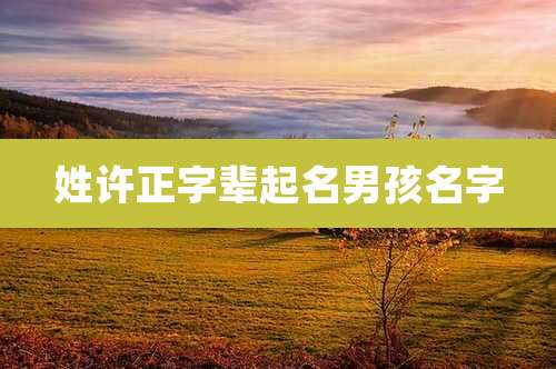 姓许正字辈起名男孩名字