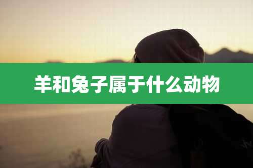 羊和兔子属于什么动物