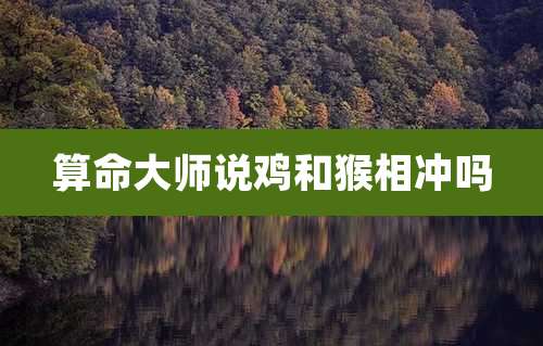 算命大师说鸡和猴相冲吗