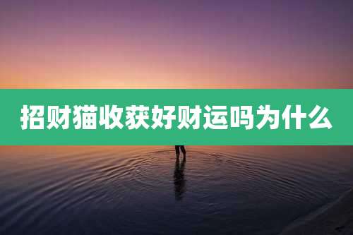 招财猫收获好财运吗为什么