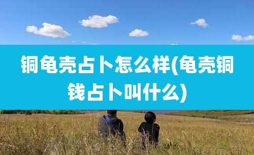 铜龟壳占卜怎么样(龟壳铜钱占卜叫什么)