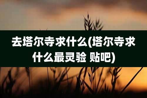去塔尔寺求什么(塔尔寺求什么最灵验 贴吧)