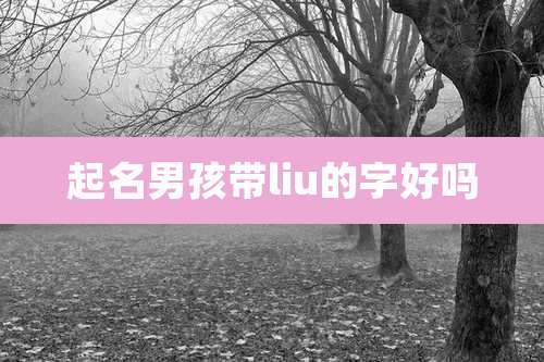 起名男孩带liu的字好吗
