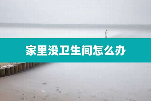 家里没卫生间怎么办