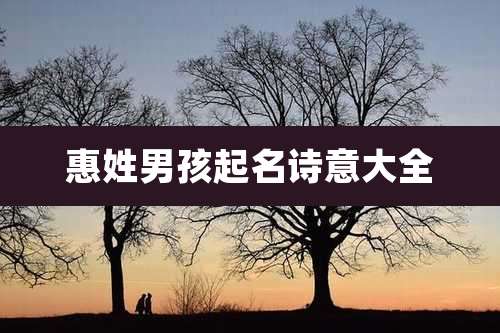 惠姓男孩起名诗意大全
