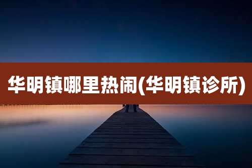 华明镇哪里热闹(华明镇诊所)