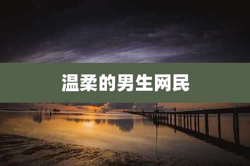 温柔的男生网民