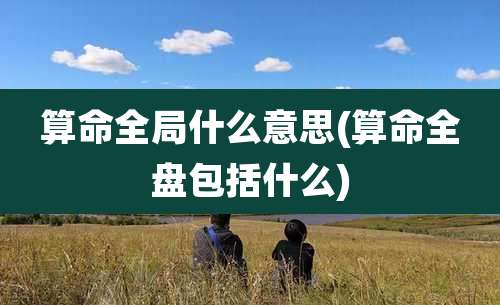 算命全局什么意思(算命全盘包括什么)