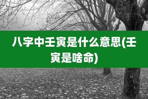 八字中壬寅是什么意思(壬寅是啥命)