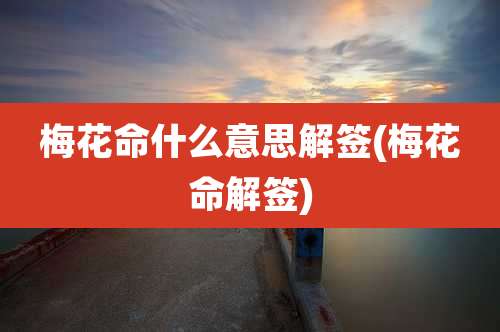 梅花命什么意思解签(梅花命解签)