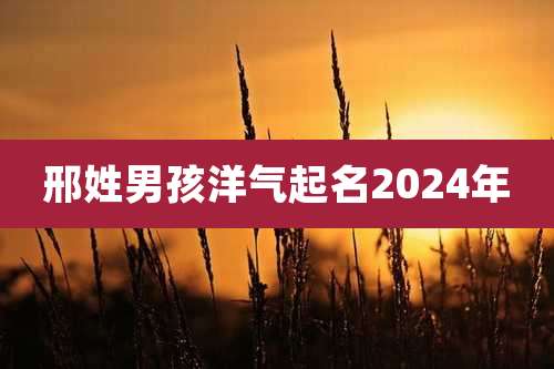 邢姓男孩洋气起名2024年