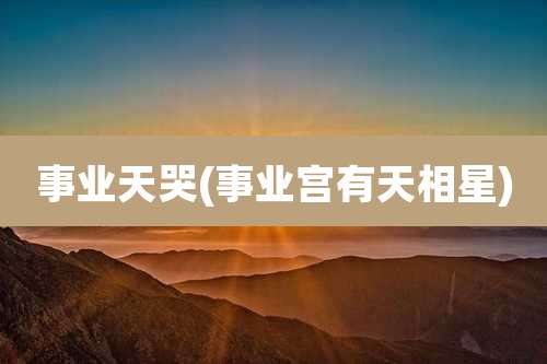 事业天哭(事业宫有天相星)