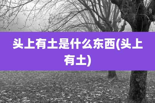 头上有土是什么东西(头上有土)