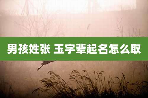 男孩姓张 玉字辈起名怎么取