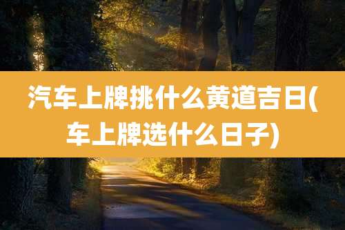 汽车上牌挑什么黄道吉日(车上牌选什么日子)