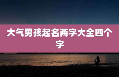 大气男孩起名两字大全四个字