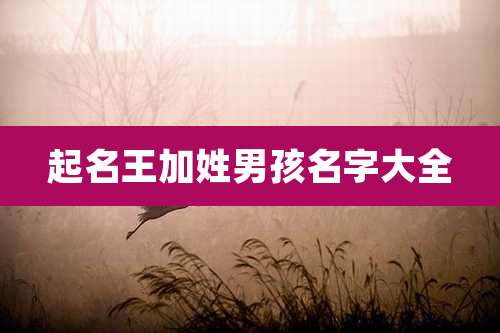 起名王加姓男孩名字大全