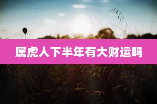 属虎人下半年有大财运吗