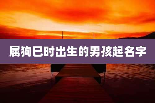 属狗巳时出生的男孩起名字