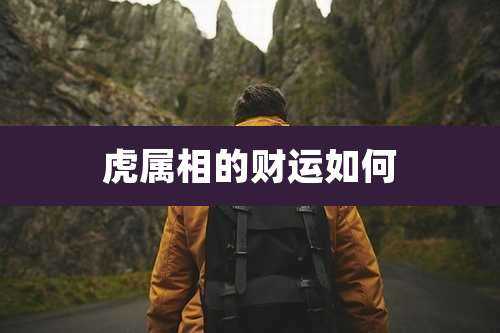 虎属相的财运如何