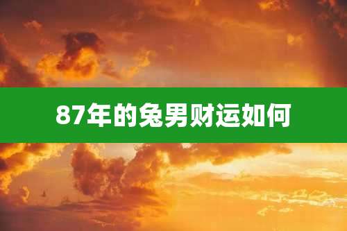 87年的兔男财运如何