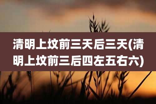 清明上坟前三天后三天(清明上坟前三后四左五右六)
