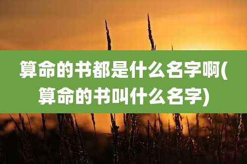 算命的书都是什么名字啊(算命的书叫什么名字)