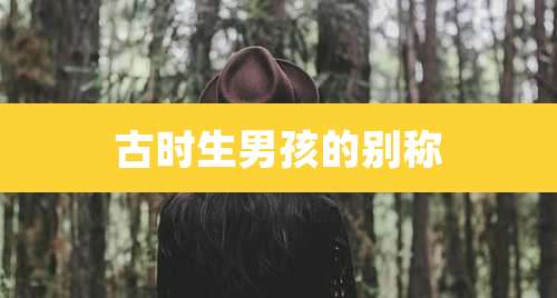 古时生男孩的别称