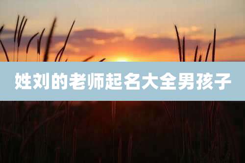 姓刘的老师起名大全男孩子