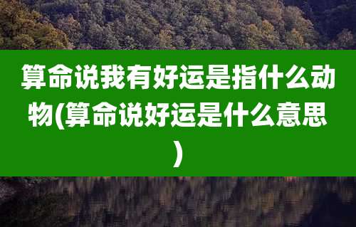 算命说我有好运是指什么动物(算命说好运是什么意思)