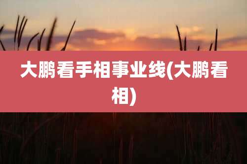 大鹏看手相事业线(大鹏看相)