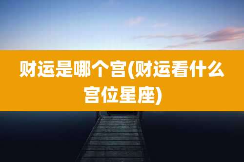 财运是哪个宫(财运看什么宫位星座)