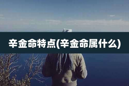 辛金命特点(辛金命属什么)