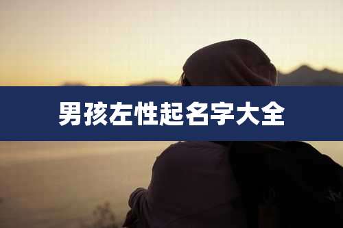 男孩左性起名字大全