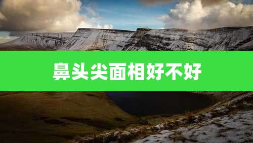 鼻头尖面相好不好