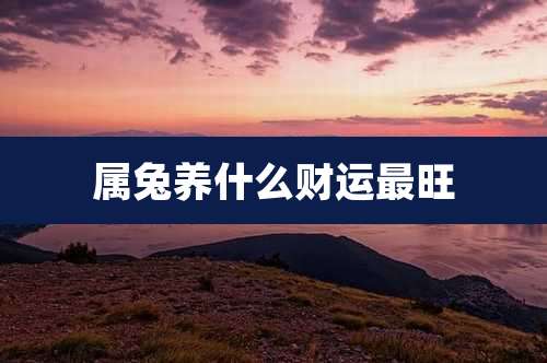 属兔养什么财运最旺