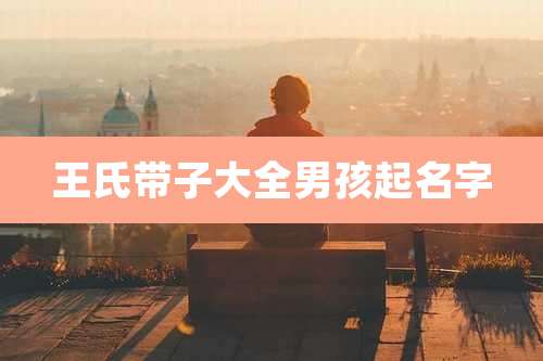 王氏带子大全男孩起名字