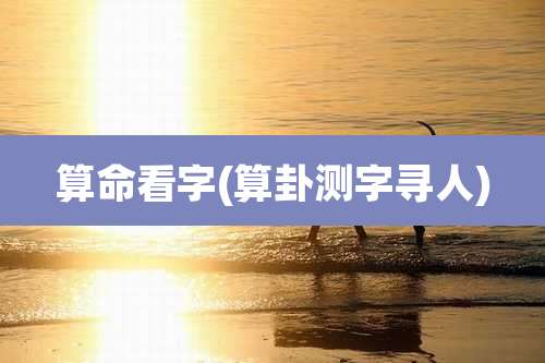 算命看字(算卦测字寻人)