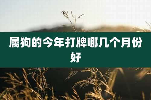 属狗的今年打牌哪几个月份好