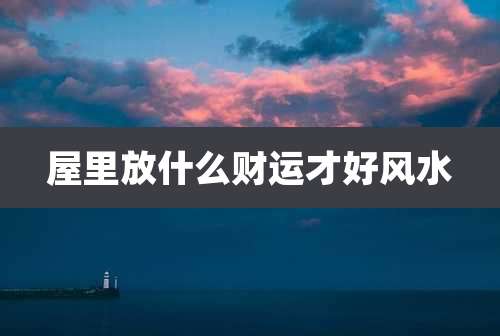 屋里放什么财运才好风水