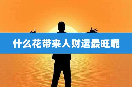 什么花带来人财运最旺呢