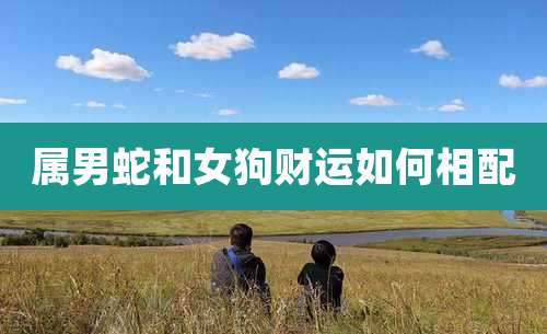 属男蛇和女狗财运如何相配