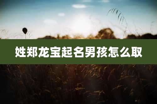 姓郑龙宝起名男孩怎么取