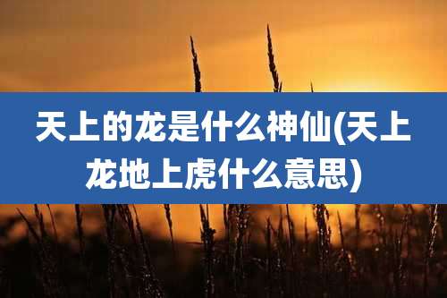 天上的龙是什么神仙(天上龙地上虎什么意思)