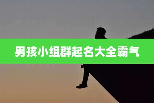男孩小组群起名大全霸气