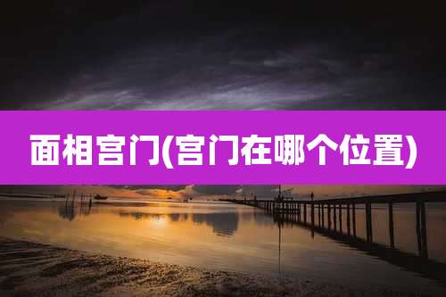 面相宫门(宫门在哪个位置)