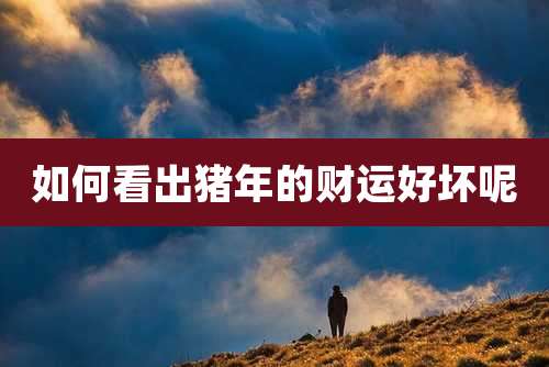 如何看出猪年的财运好坏呢